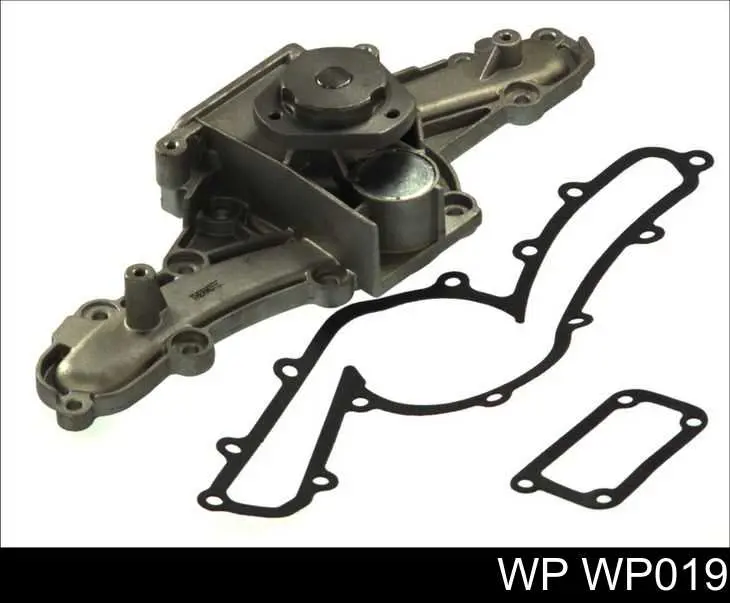  WP019 WP