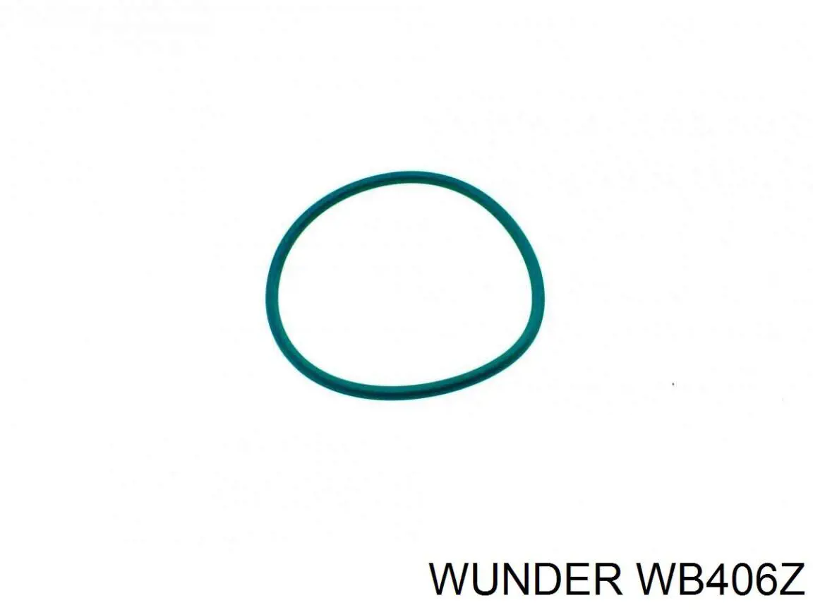Filtro combustible Wunder WB406Z precio, desde 18,22 EUR