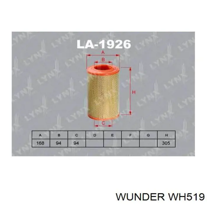 WH519 Wunder Filtro de aire de motor