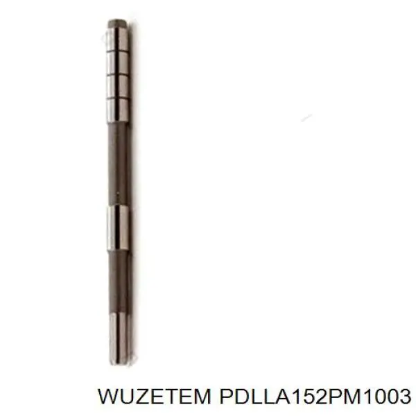 PDLLA152PM1003 Wuzetem pulverizador inyector