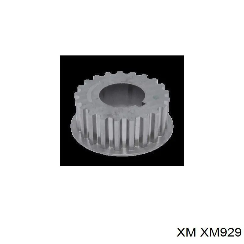 XM929 XM rueda dentada, cigüeñal