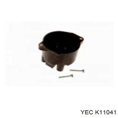 K11041 YEC