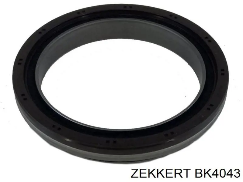 Juego de zapatas de frenos, freno de estacionamiento Nissan Tiida C11X