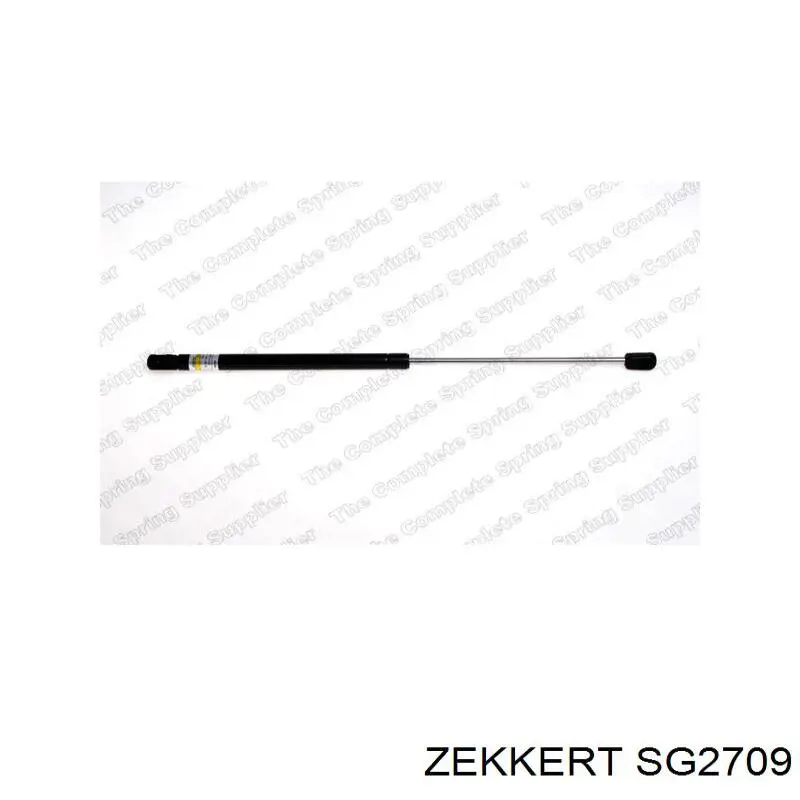 Amortiguador delantero Seat Exeo 3R5