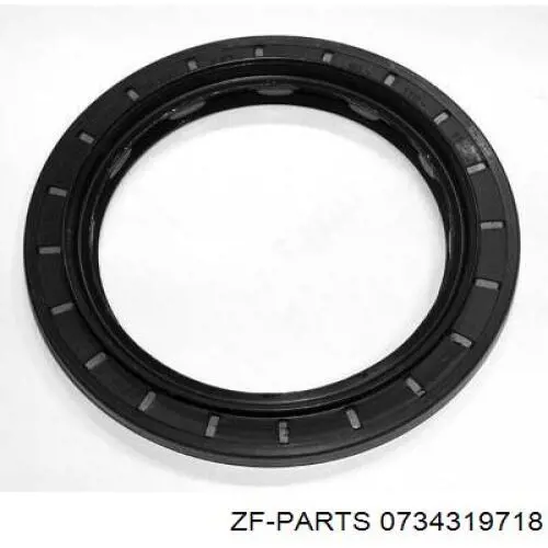 Junta tórica universal ZF Parts 0734319718 precio, desde 43,05 EUR