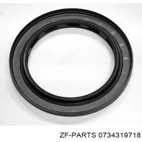 Comprar 0734319718 ZF Parts Junta tórica universal