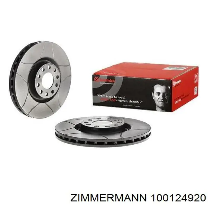 100124920 Zimmermann disco de freno delantero
