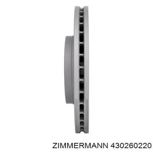 Freno de disco delantero Renault Trafic 2 FL