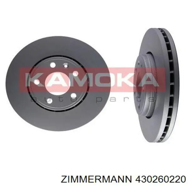 Freno de disco delantero Renault Trafic 2 FL