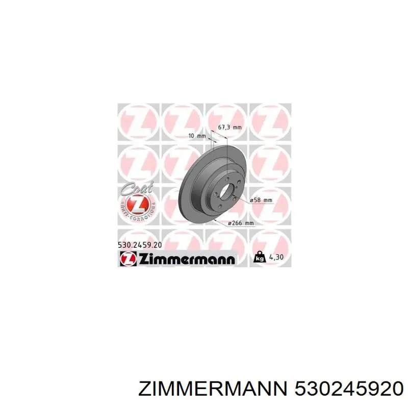 530245920 Zimmermann disco de freno trasero