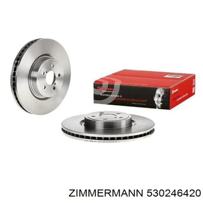 530246420 Zimmermann Discos