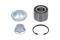 Cojinete de rueda trasero Citroen C3 1 FC
