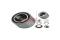 Cojinete de rueda trasero Ford Focus 1 DFW