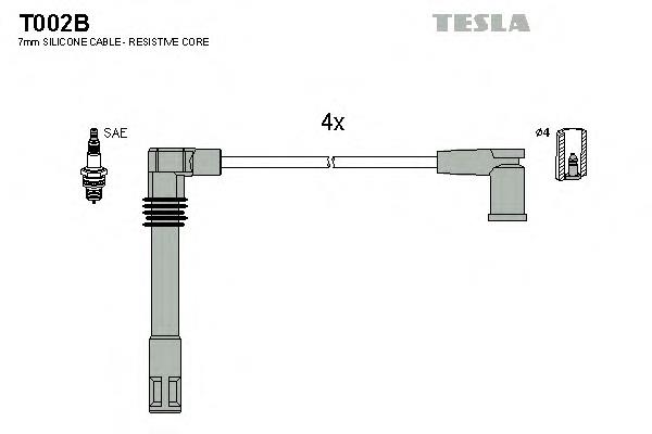 T002B Tesla