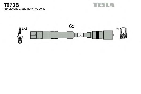 T073B Tesla