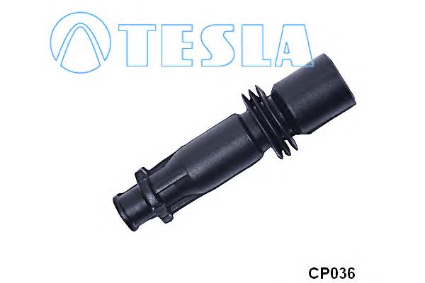CP036 Tesla