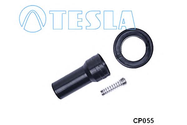 CP055 Tesla bobina de encendido