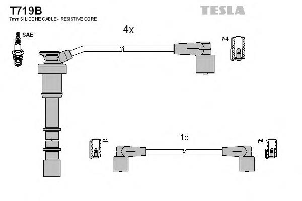 T719B Tesla