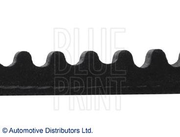 Correa trapezoidal AD13V765 Blue Print