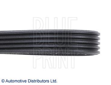 AD05R1220 Blue Print Correa poly v