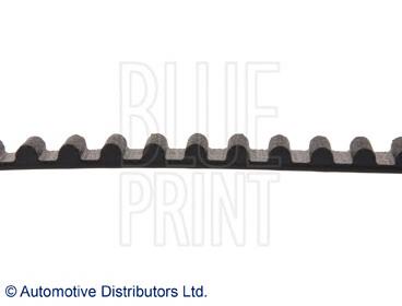 Correa distribución ADG07502 Blue Print