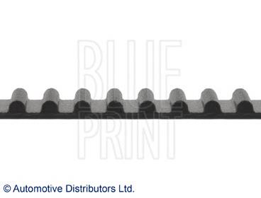 ADG07501 Blue Print correa distribucion