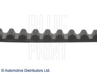 ADG07533 Blue Print correa distribucion