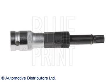  Blue Print ADG05506