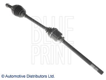 ADZ989504 Blue Print