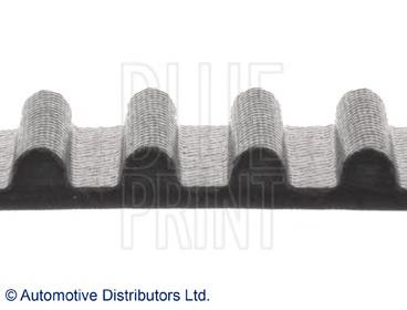 Correa distribucion ADT37524 Blue Print