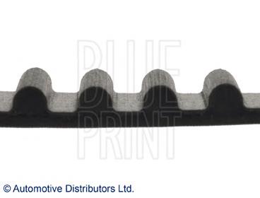 ADT37511 Blue Print correa distribucion