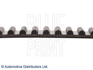 ADT37519 Blue Print correa distribución