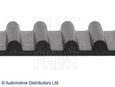 ADT37538 Blue Print correa distribución