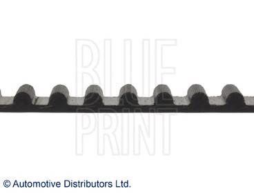 ADT37540 Blue Print correa distribucion