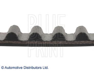 ADM57530 Blue Print correa distribución