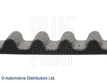 Correa distribución ADM57533 Blue Print