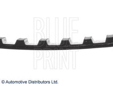 ADH27501 Blue Print correa distribucion