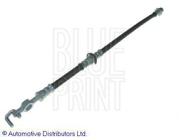 Tubo flexible de frenos delantero derecho ADT353113 Blue Print