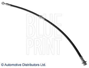 ADN153247 Blue Print