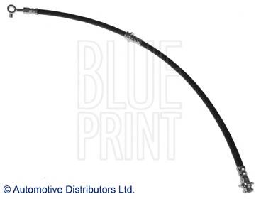 Tubo flexible de frenos trasero derecho ADN15324 Blue Print