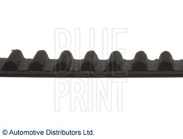 ADN17536 Blue Print Correa dentada