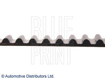 Comprar ADN17519 Blue Print Correa distribución