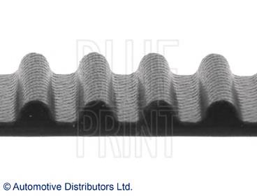 ADN17516 Blue Print correa distribucion