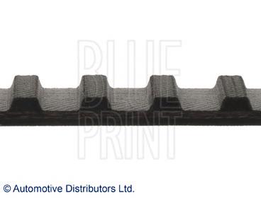 Correa distribucion ADN17503 Blue Print