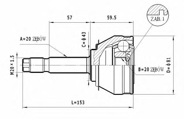 C.005 Statim junta homocinética exterior delantera