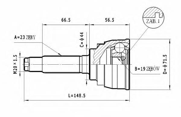 C003 Statim junta homocinética exterior delantera