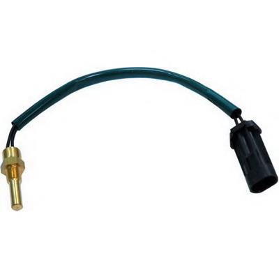 Sensor de temperatura 33555 FAE