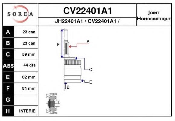 Junta homocinética exterior delantera 7711135219 Renault (RVI)