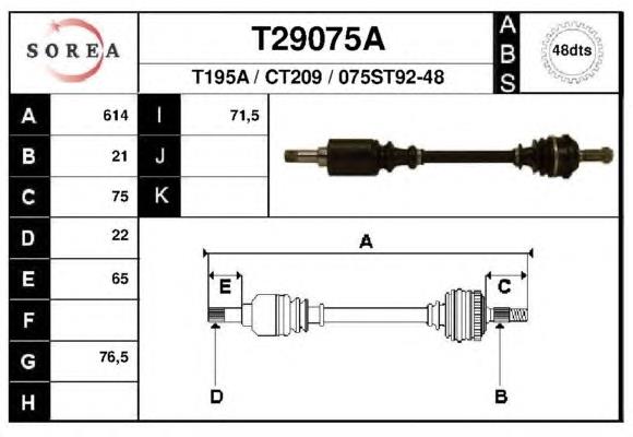 T29075A EAI