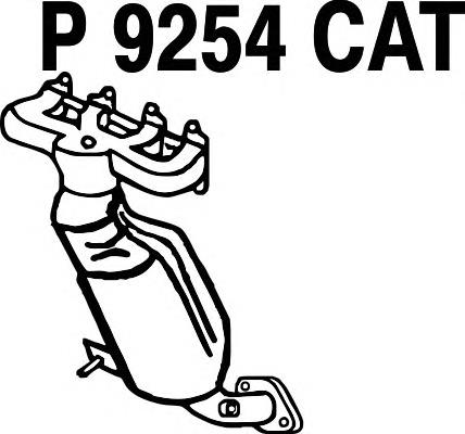 P9254CAT Fenno catalizador